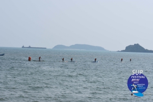 DSC 0241