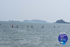 DSC 0242