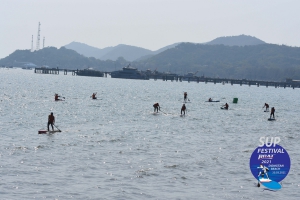 DSC 0330