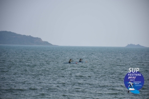 DSC 0588
