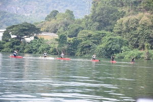 DSC 0706